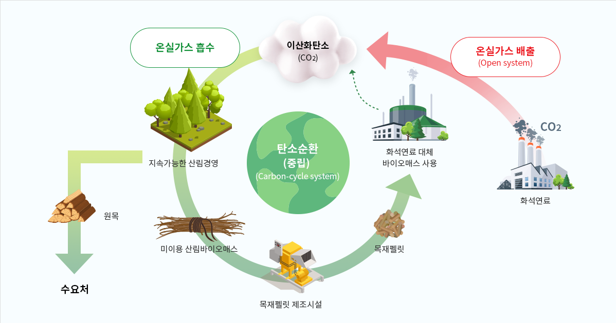 탄소순환 시스템 다이어그램